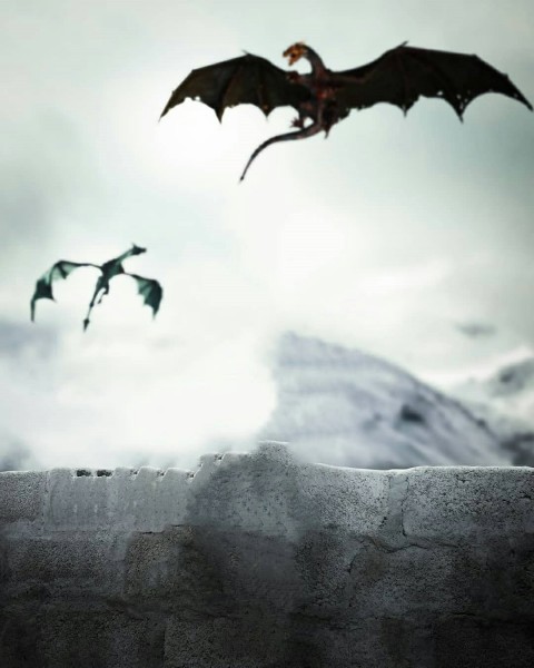 Dragon Flying PicsArt Background HD Background