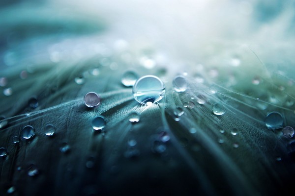 Drop Water Background Full HD Download Free