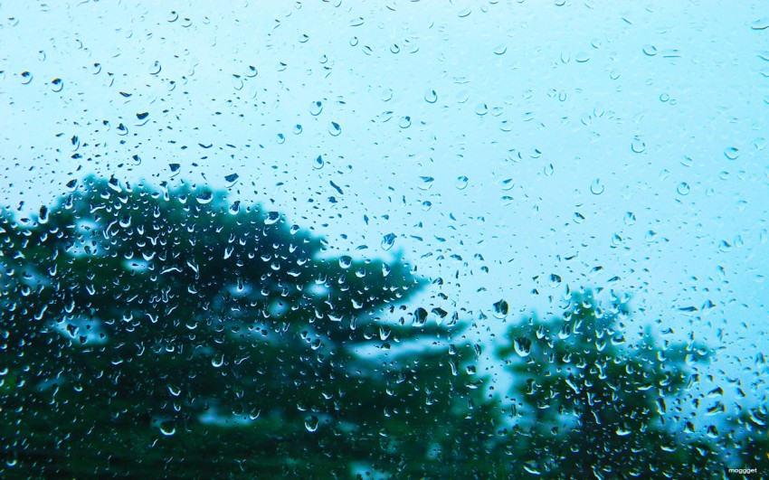 Droplest Rain HD Background Download