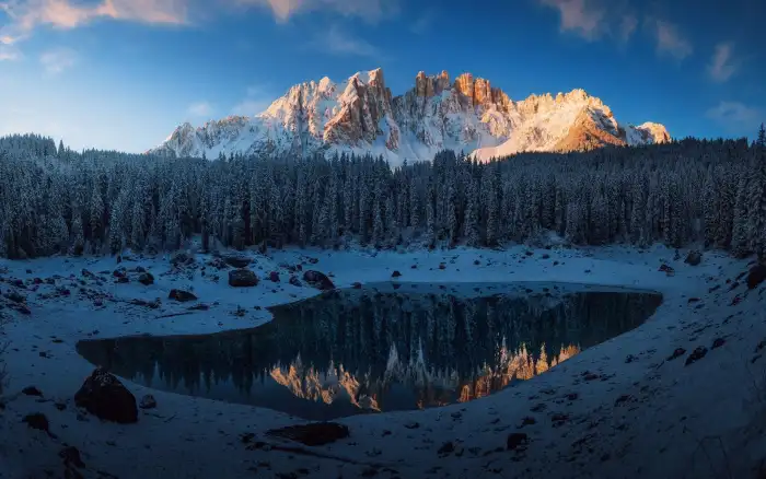 Dry Lake Winter Forest Background HD Wallpapers