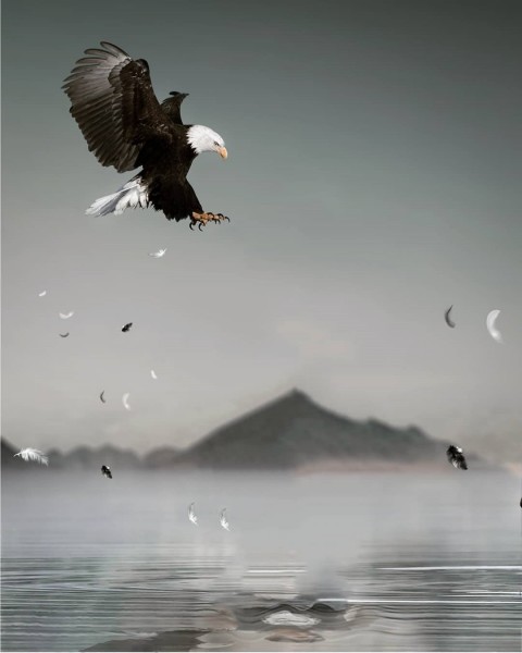 Eagle New Picsart Background