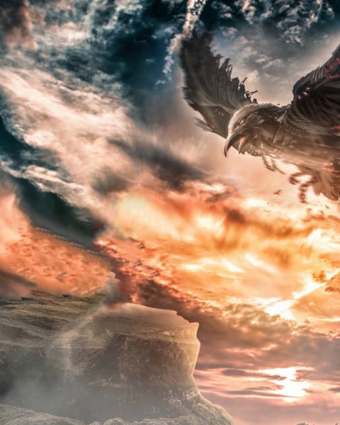 Eagle with Sky Poster Background  Hd