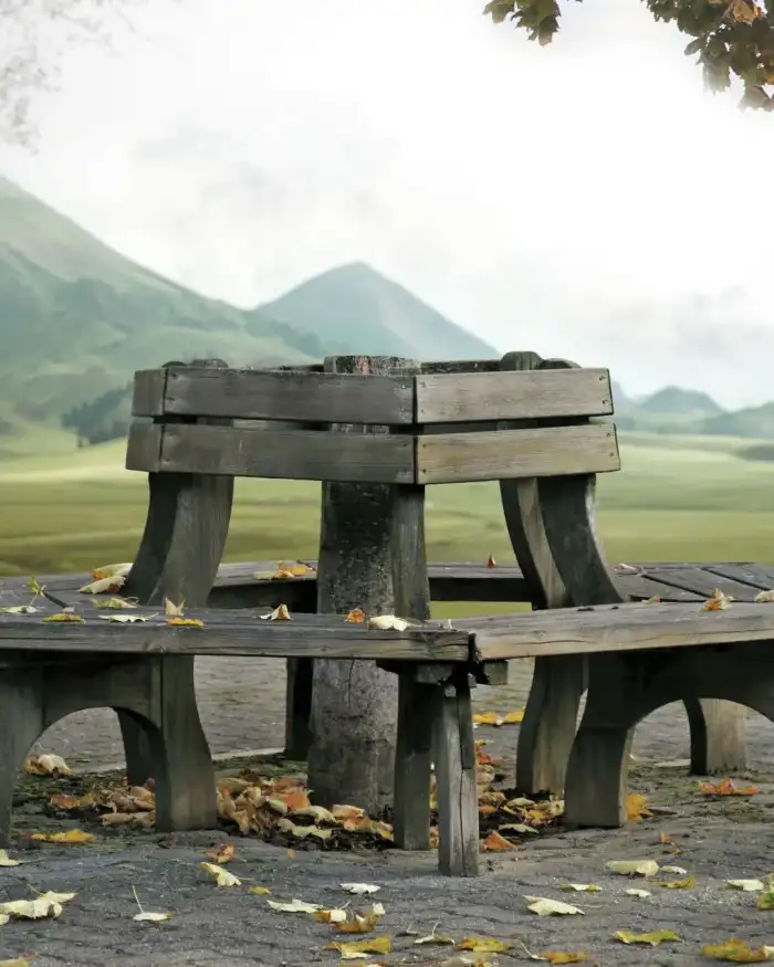 Editing Bench In A Park Background