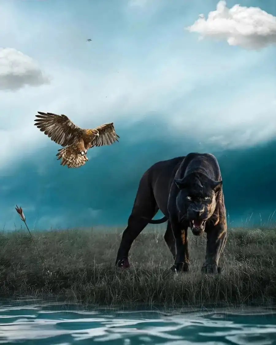 Editing Black Panther With A Bird Flying Over It hd Background