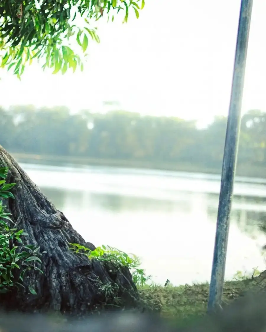 Editing Body Of Water With Trees Around It     Background