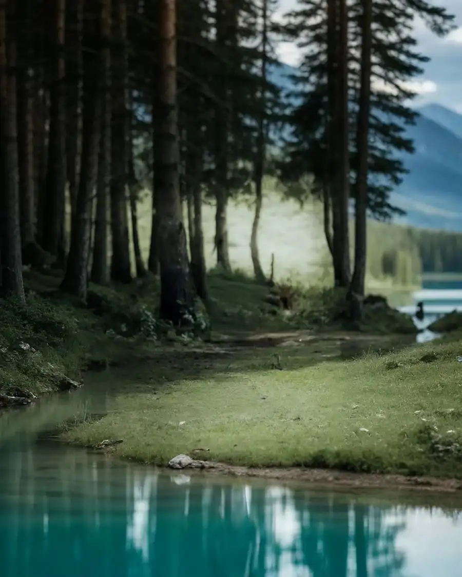 Editing Body Of Water With Trees Around It Background