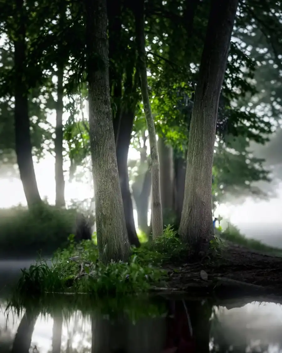 Editing Body Of Water With Trees Around It HD Background