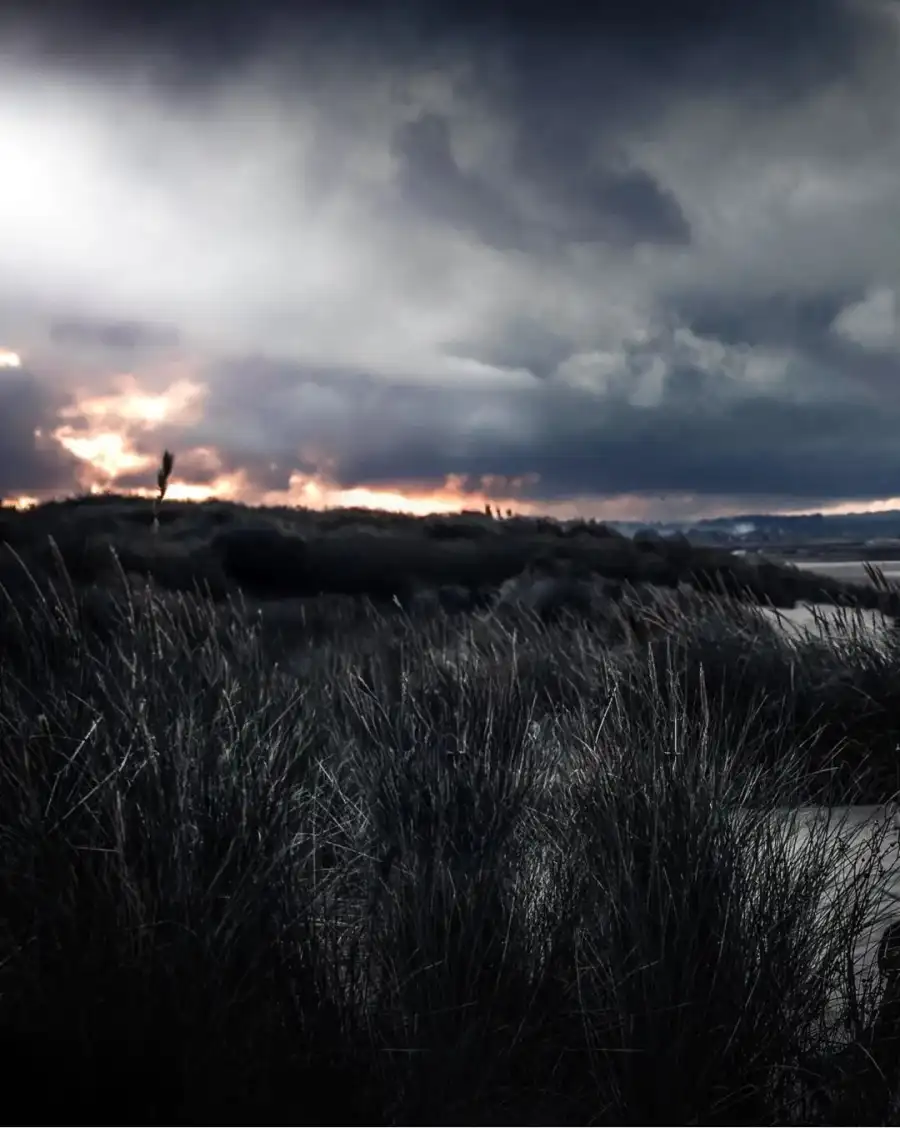 Editing CB Grassy Field With A Cloudy Sky Background