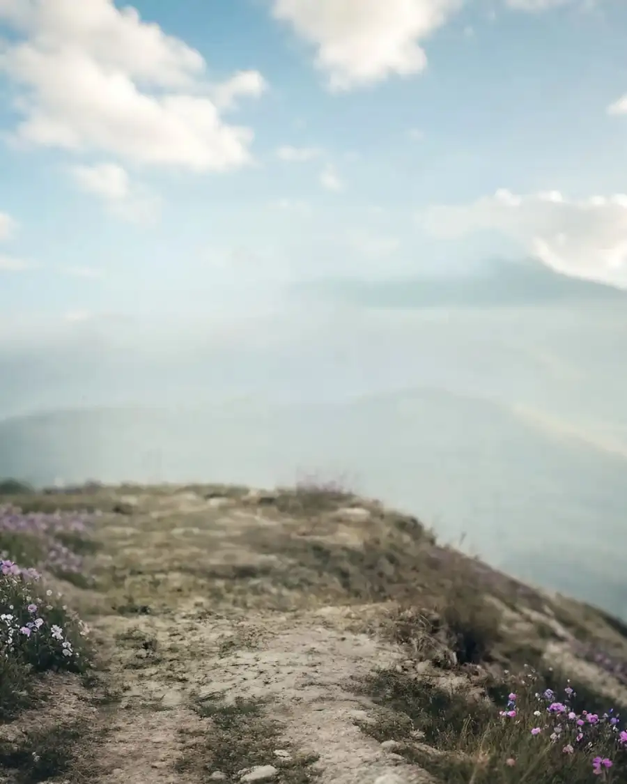 Editing Dirt Road With Flowers On The Side Background