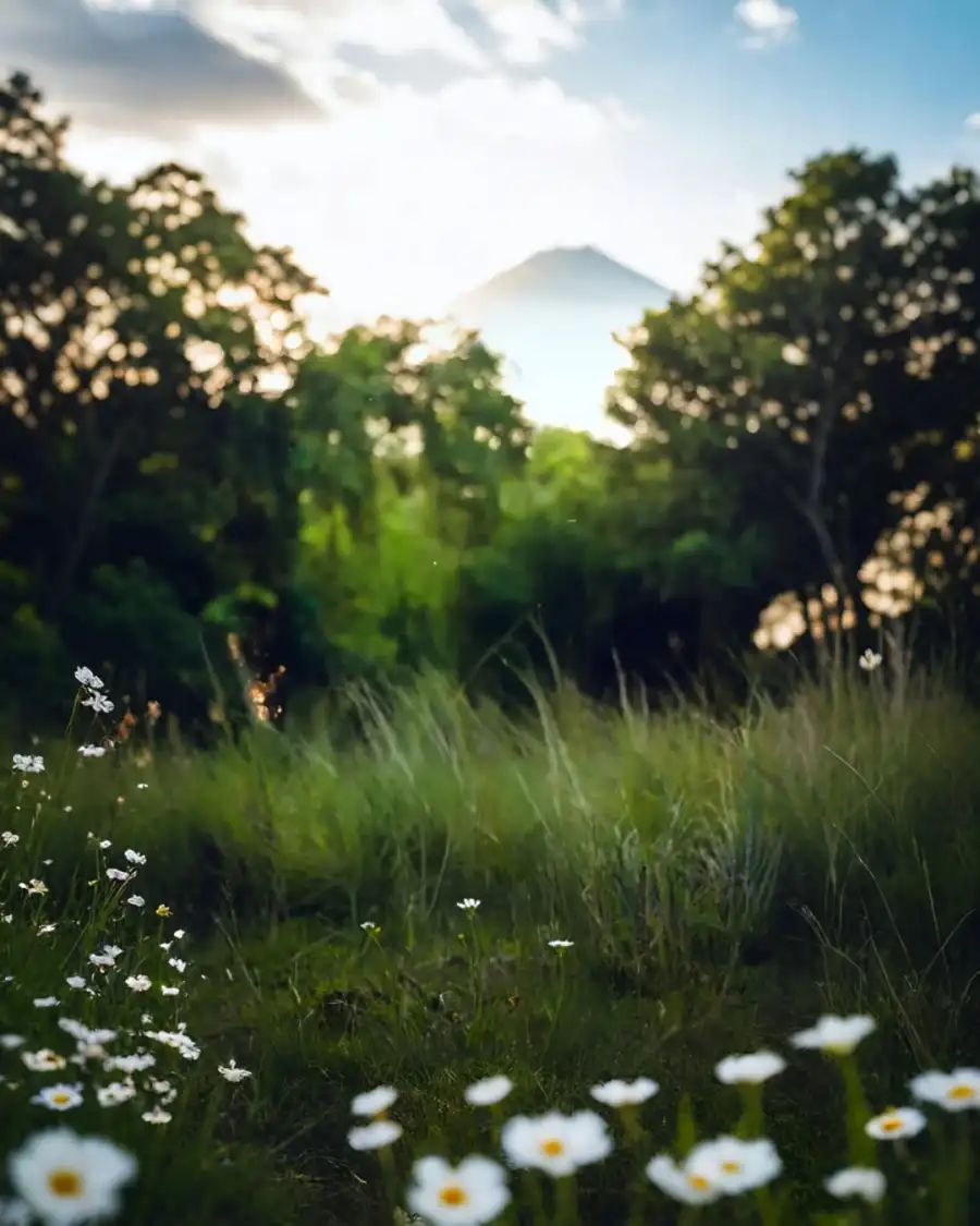 Editing Field Of Flowers High Quality Background