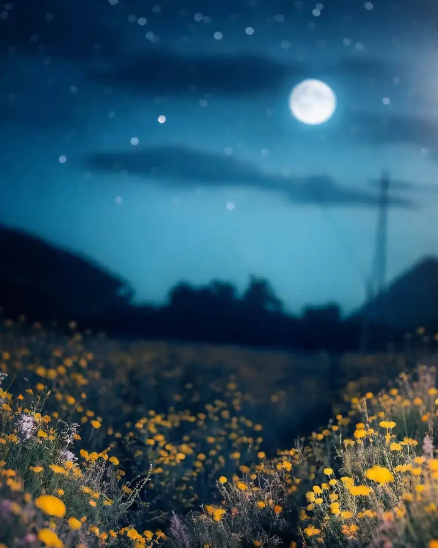 Editing Field Of Flowers With The Moon In The Sky Background