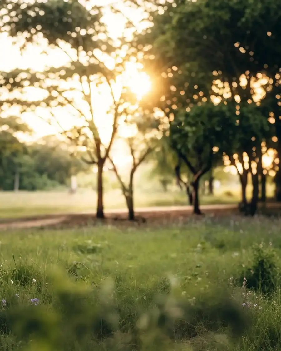 Editing Field Of Grass With Trees In The Background