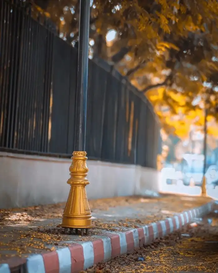 Editing Fire Hydrant On The Sidewalk Background