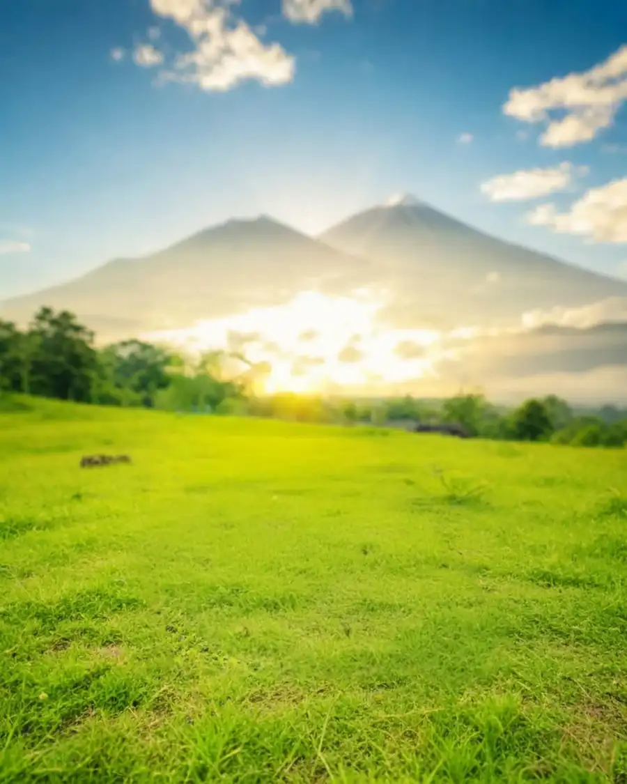 Editing Grassy Field With Trees And Mountains In The  Background