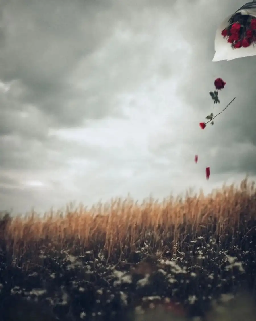 Editing Group Of Kites Flying In The Sky Background