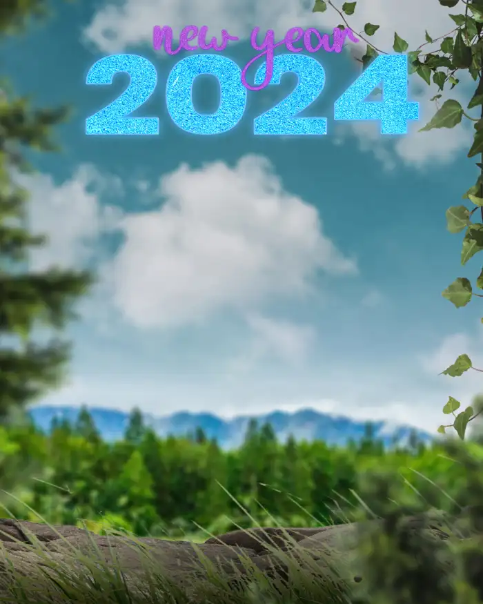 Editing Happy New Year 2024 Forest With A Blue Sky Background HD