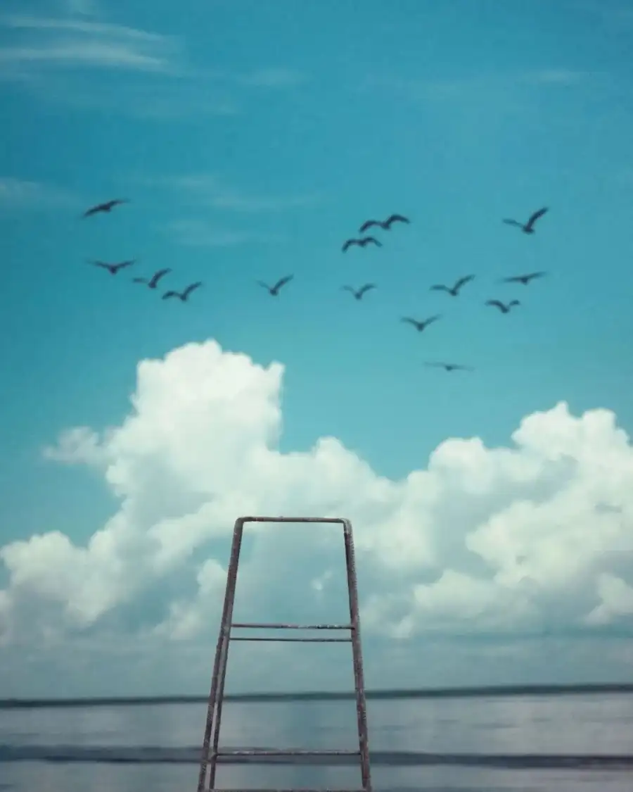 Editing Ladder On A Beach With Birds Flying In The Sky Background