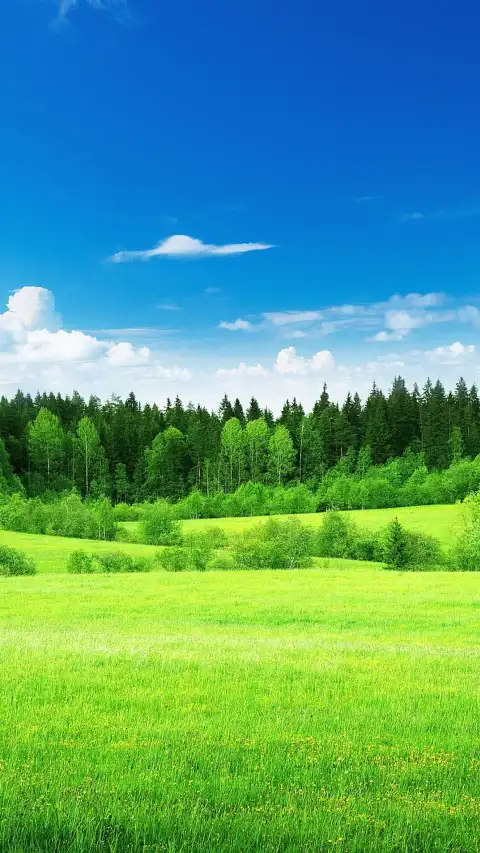 Editing Open Field Background Wallpaper HD Download