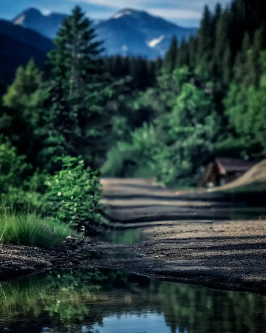 Editing River With Trees And Mountains In The Background