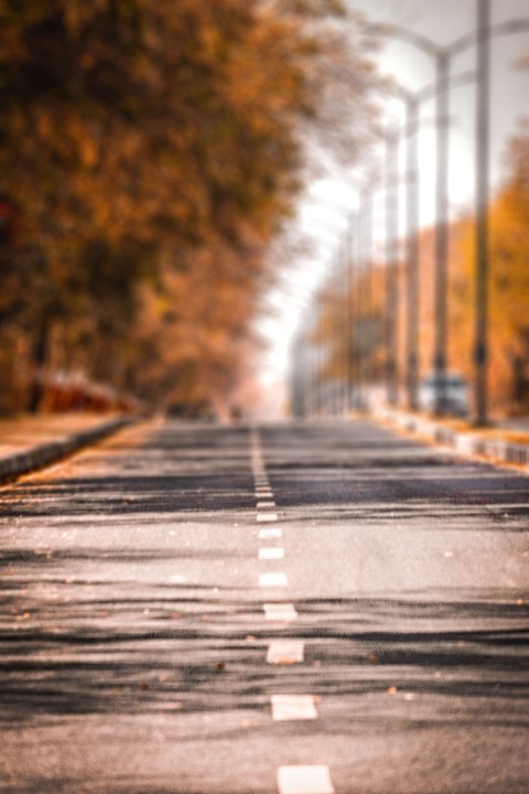 Editing Road Background Full HD Download Free Images