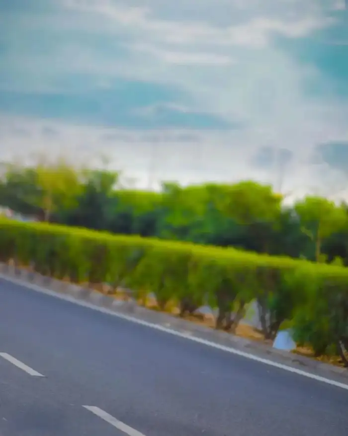 Editing Road With Trees On The Side Background