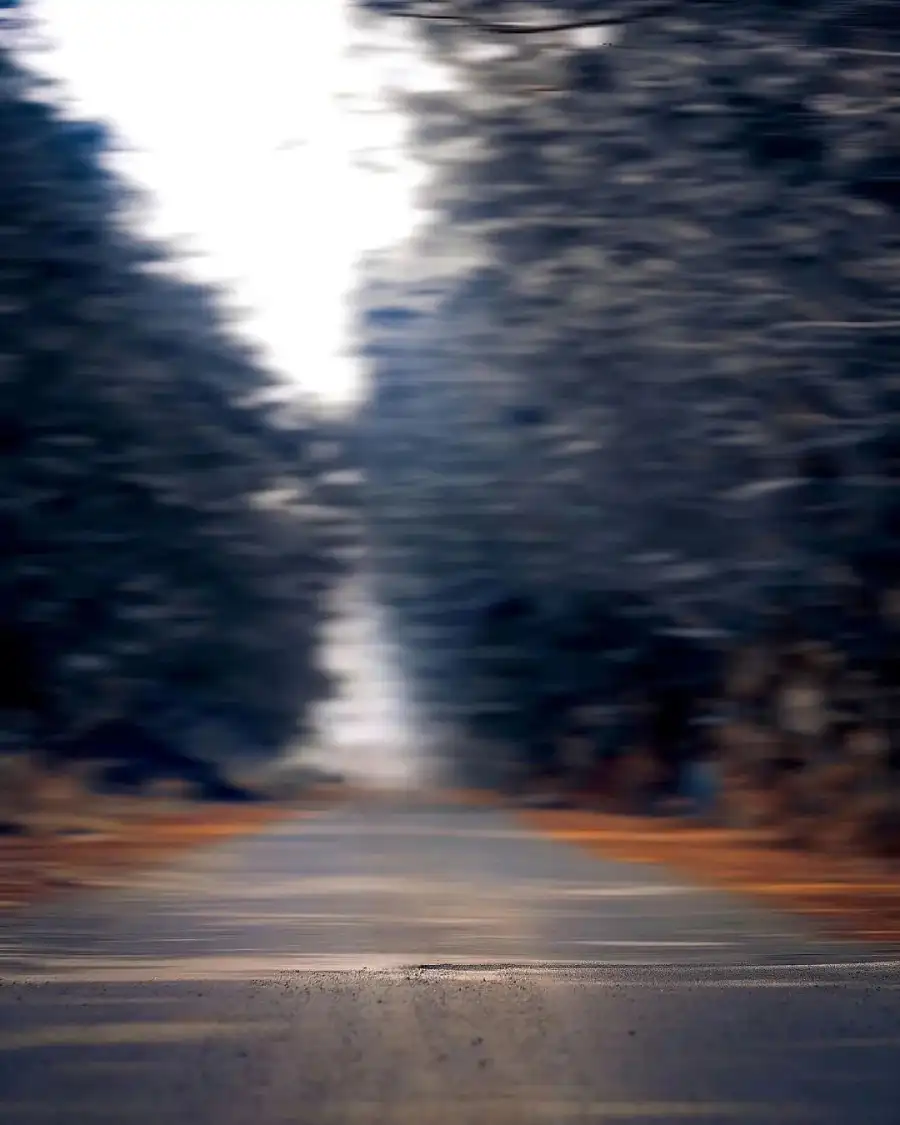 Editing Road With Trees On The Side Background Full HD