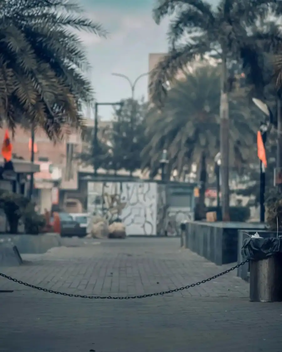 Editing Stone Walkway With Palm Trees Background