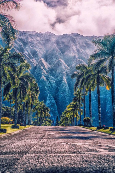 Editing Summer Road Background HD Photo Image Free