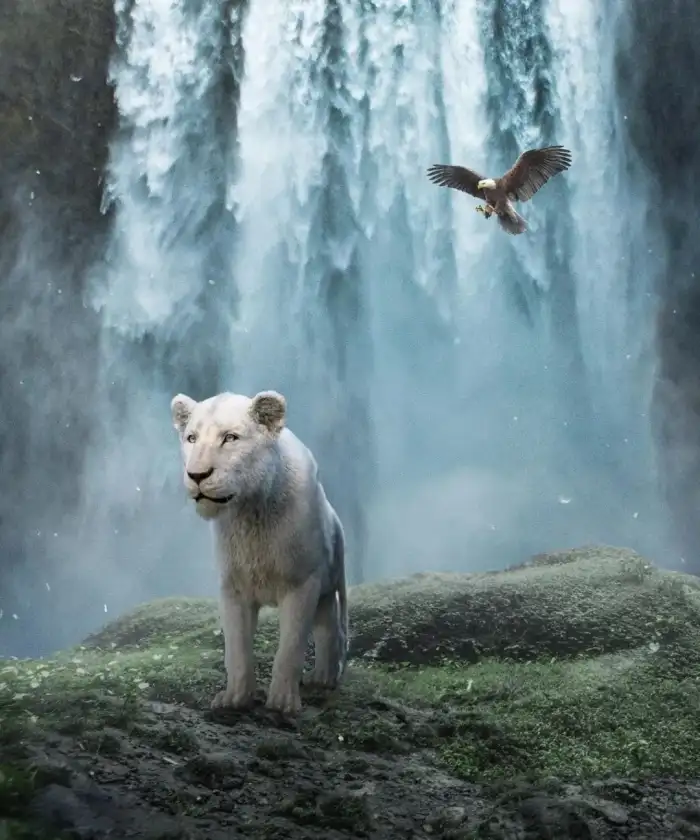 Editing White Tiger With A Bird Flying Above It Background