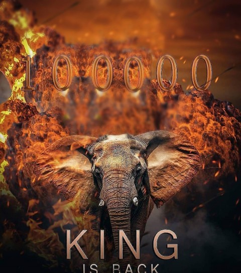 Elephant Editing CB Background HD