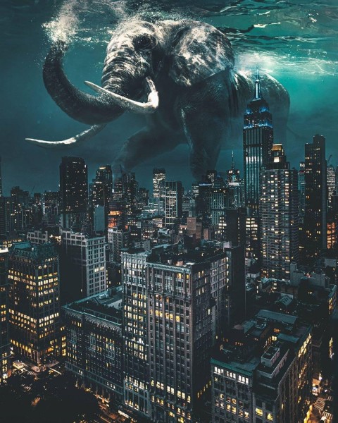 Elephant PicsArt Editing HD Background