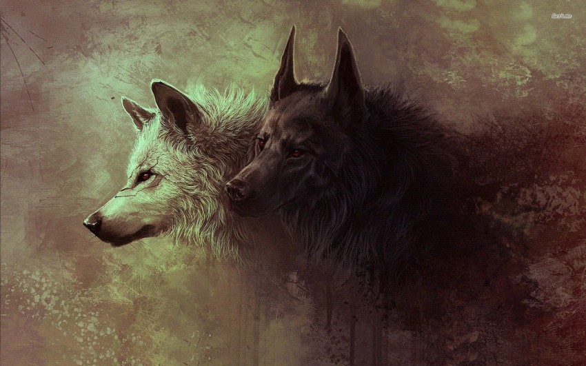 Fantacy Wolf Background Full HD Wallpaper Download