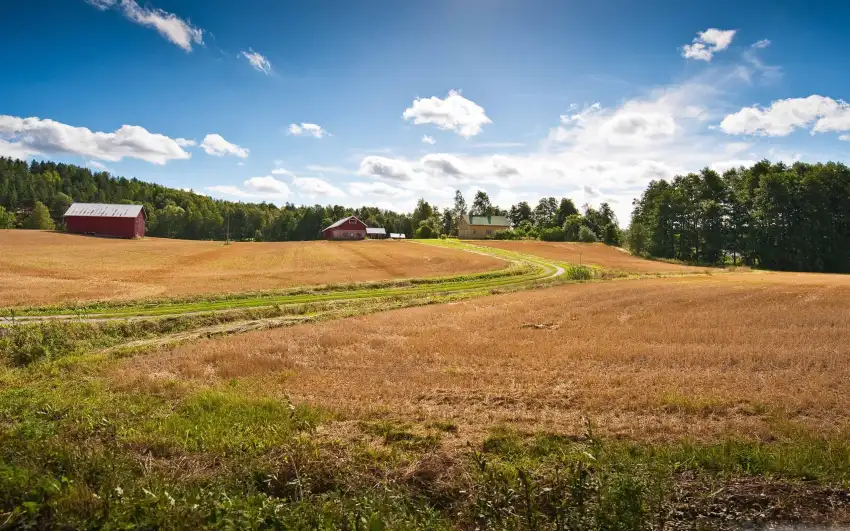 Farm Field Background HD Download