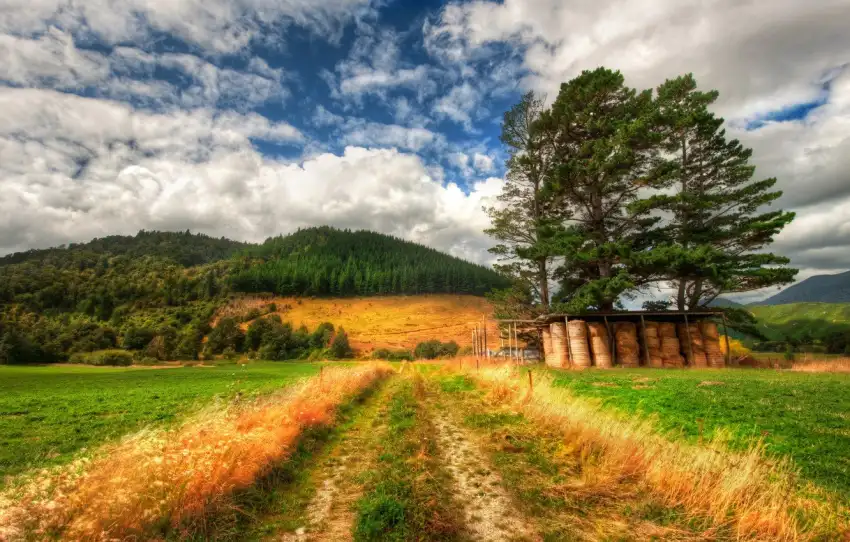 Farm Field Background HD Download