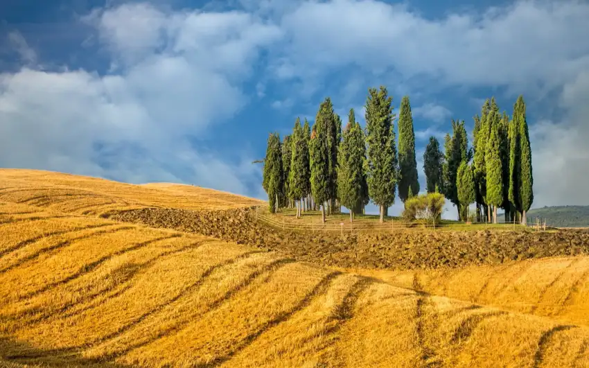 Farm Field Background HD Download