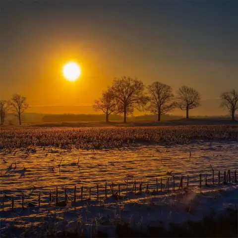 Farm Field Background HD Download