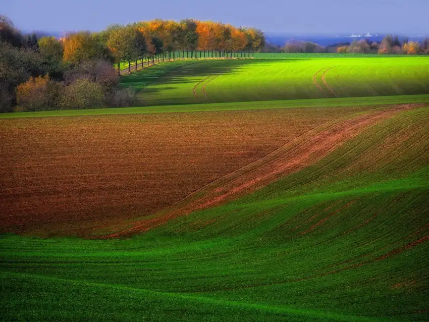 Farm Field Background HD Download