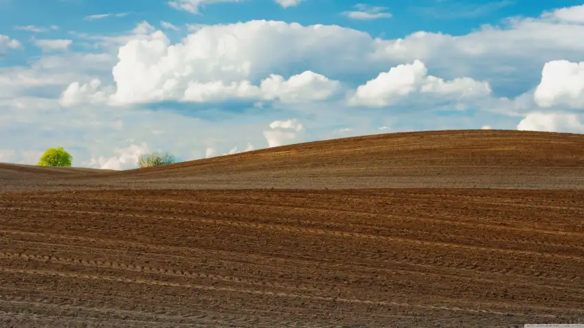 Farm Field Background HD Download