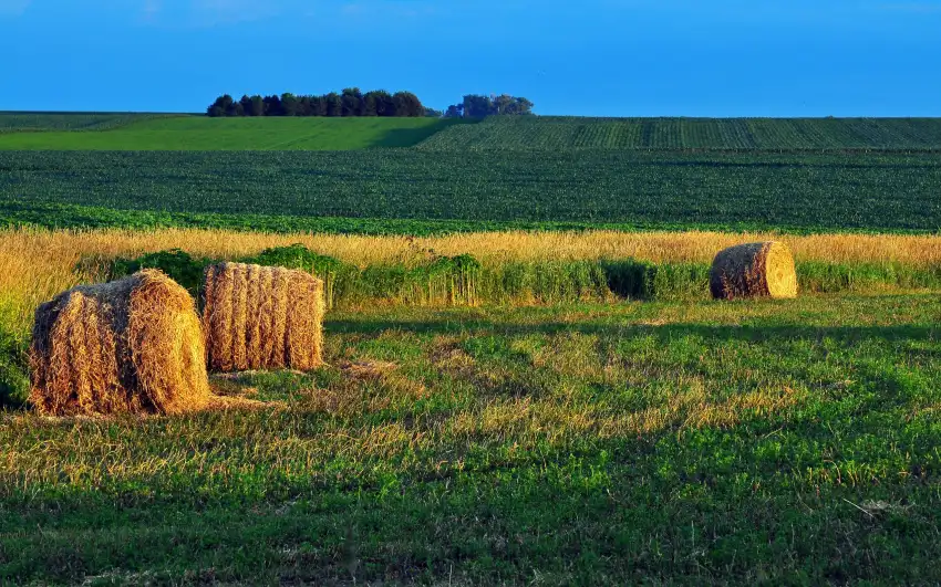 Farm Field CB Editing Background HD Download