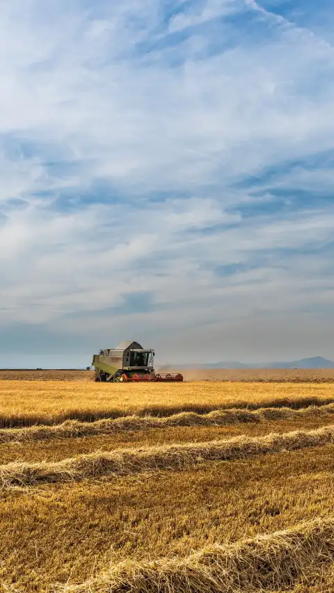 Farm Field CB Editing Background HD Download