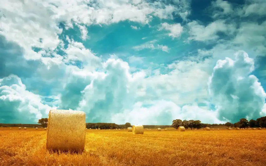 Farm Field Photoshop Background HD Download