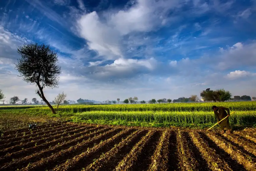 Farm Field Photoshop Background HD Download