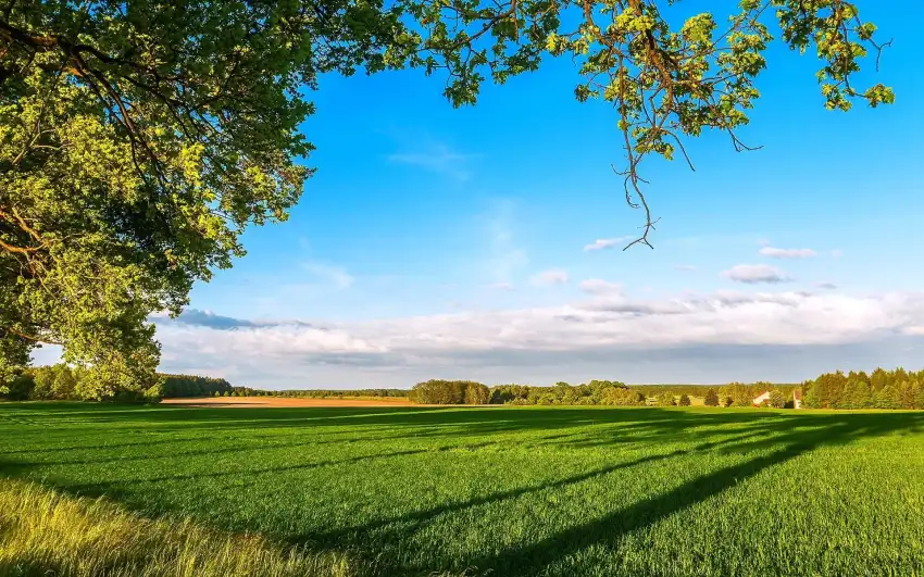 Farm Field Photoshop Background HD Download