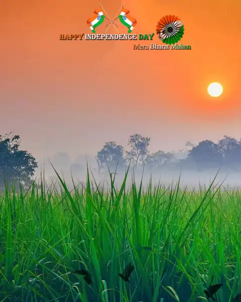 Farm Field  Sunset Sky 15 August CB Editing Background HD