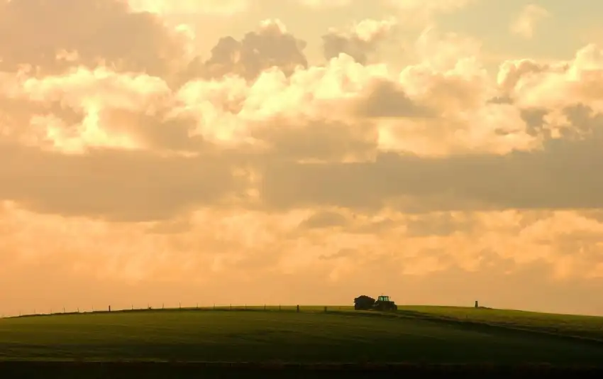 Thumbail Of Farm Field Background