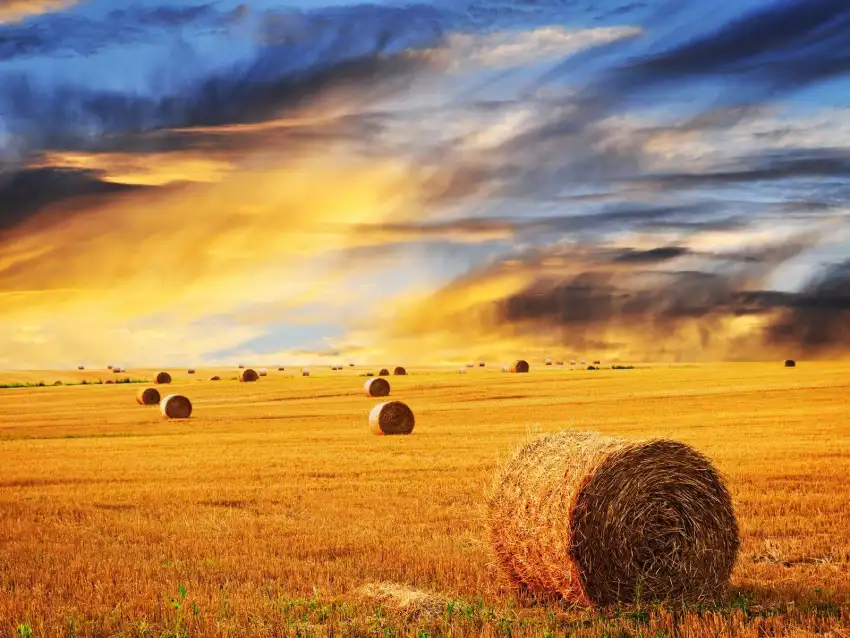 Farm Field Sunset Sky Wallpaper Background HD Download