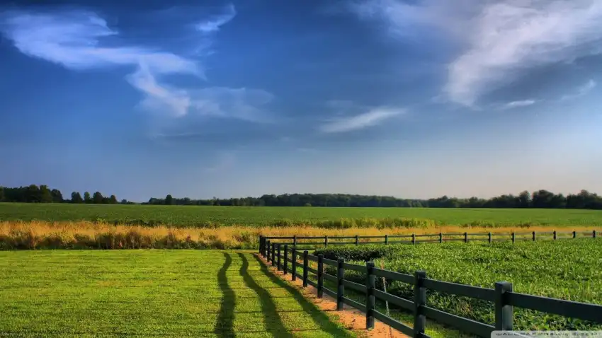 Farm Field With Blue Sky Background HD Download