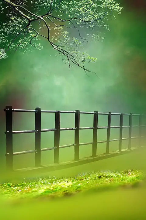 Fence Outdoor Studio Background HD Download