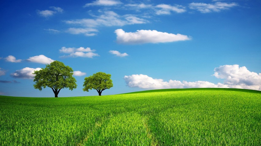 Field Background Wallpaper HD Download