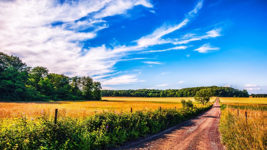 Field Background Wallpaper HD Download